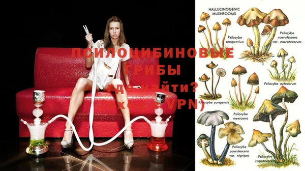 героин Белокуриха