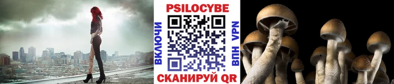 блэк спрут рабочий сайт  Бородино  Псилоцибиновые грибы MAGIC MUSHROOMS 